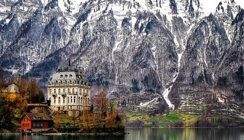 vaca, switzerland