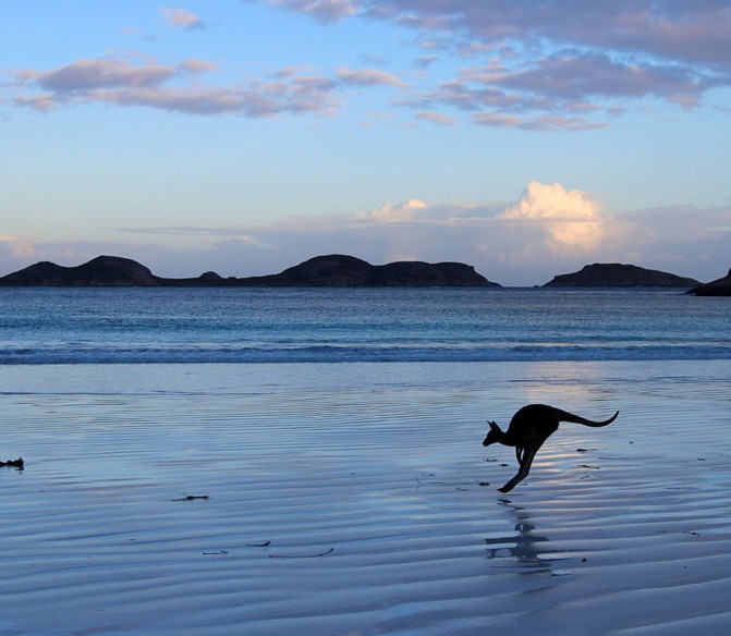 ng,  Lucky Bay in Esperance, Western Australia,  by  Mandy Wilson