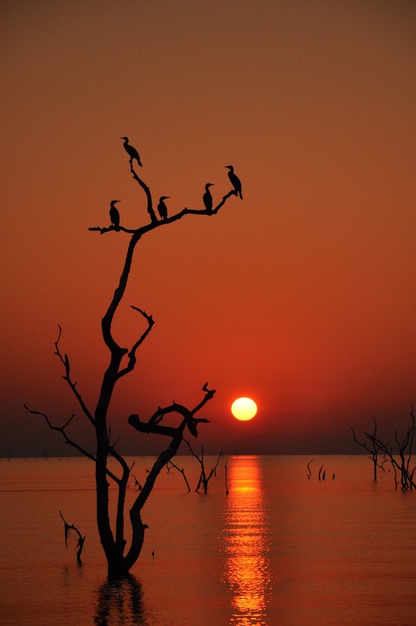 Lake Kariba, Zimbabwe, Africa  via national geographic