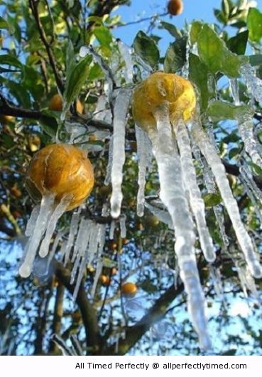 weird weather, orange icicles