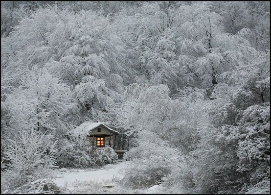 house, snow
