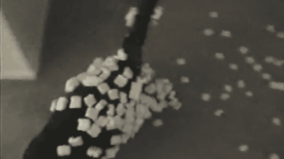 cat with pellets gif