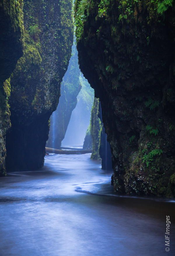 The narrows at Oneonta Gorge in Oregon are here full after spring rains.