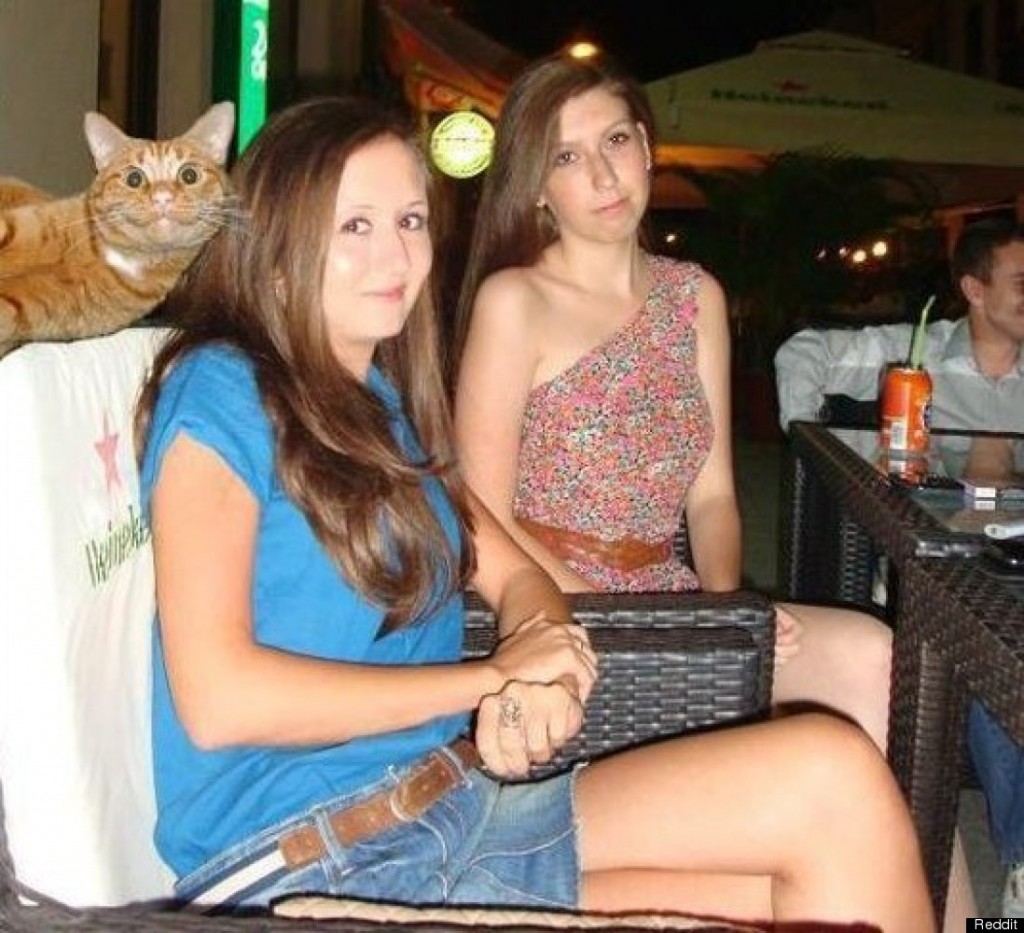 mixed species, cat and women
