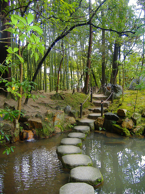 Tenjuan Gardens , Kyoto, Japan photo, Sharilyn Anderson •