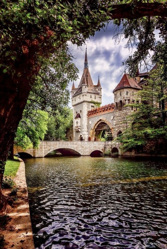Castle in Budapast, Hungary