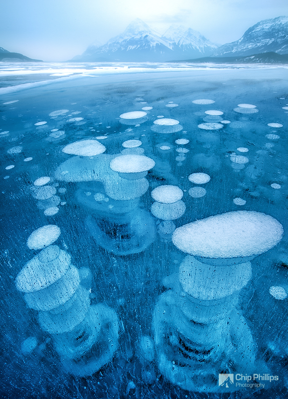 Abraham Lake in Alberta just outside of Banff National Park. These bubbles are caused by methane gas. Image by Chip Phillips