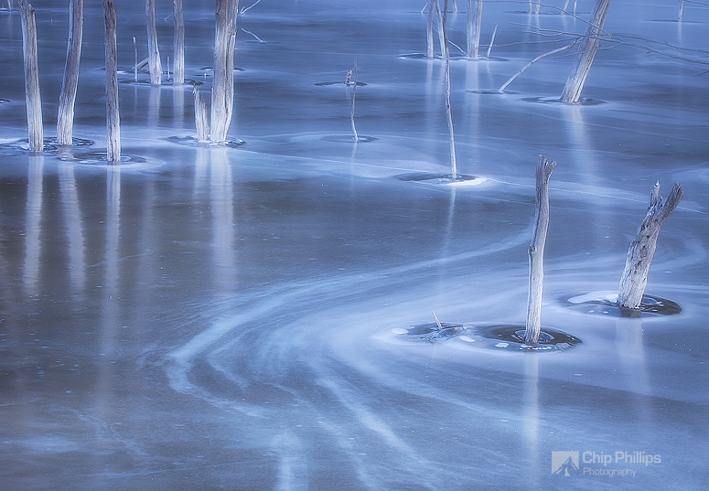 Frozen pond, Jasper, Alberta, Canada by Chip Phillips