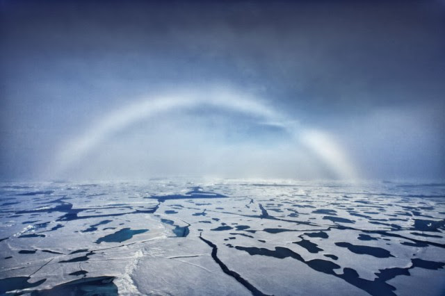  White Rainbows form in fog, rather than rain. The condensation reflects little light, and as a result, the rainbow is made up of very weak colors – like white – rather than the vibrant colors of a traditional rainbow.