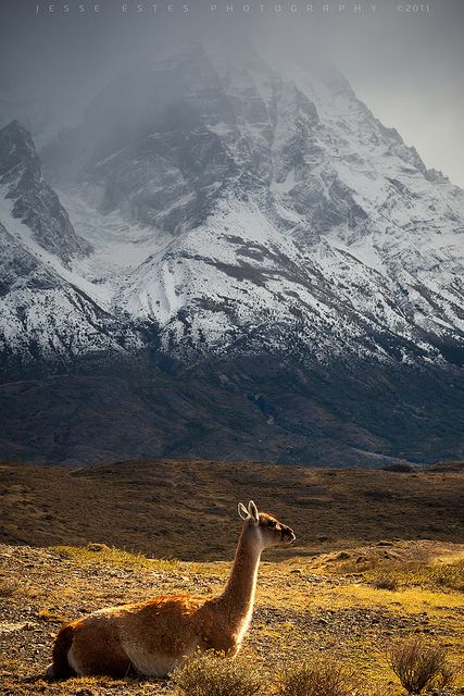Patagonia, Chile by Jesse Estes on Flickr