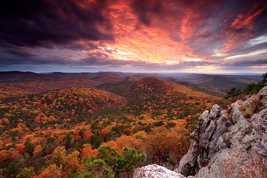 Fall Colors, Ouachita National Forest , Arkansas, USA by Laura Vu