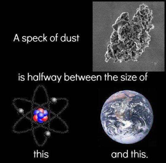 A speck of dust is half way between a quark and the earth.