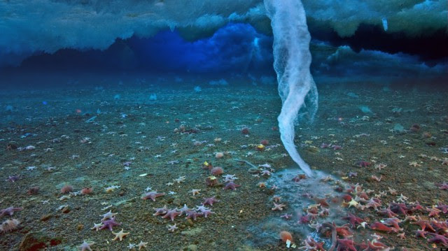 Brinicles form beneath ice when a flow of saline water is introduced. It's like an underwater icicle.