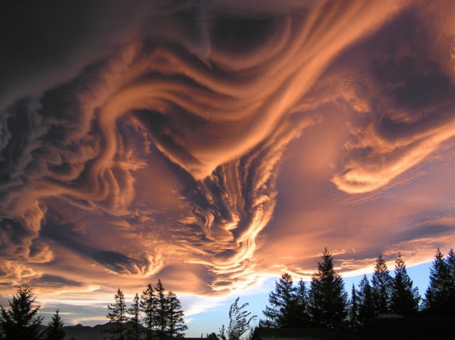 Asperatus clouds were only classified in 2009. as a result we know little about them other than that they look amazing.